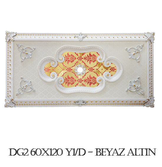 60 X 120 Dikdörtgen Modeller